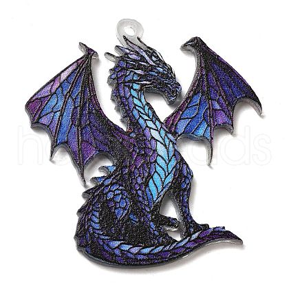 Transparent Printed Acrylic Pendants OACR-E043-03B-1
