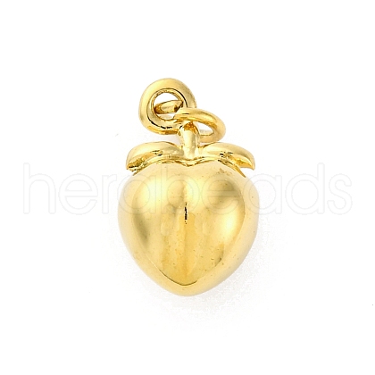 304 Stainless Steel Charms STAS-U049-01A-04G-1