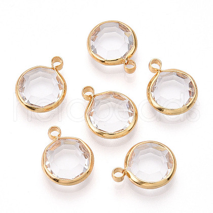 K9 Glass Charms X1-GLAA-T023-37A-02-1