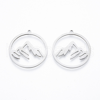 Non-Tarnish 304 Stainless Steel Pendants STAS-N090-LA911-1-1