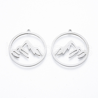 201 Stainless Steel Pendants STAS-N090-LA911-1-1