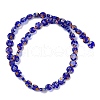 Handmade Millefiori Lampwork Beads Strands LAMP-G166-17A-04-1