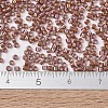 MIYUKI Delica Beads SEED-X0054-DB1737-4
