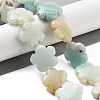 Natural Flower Amazonite Beads Strands G-F769-F01-02-2