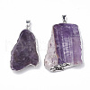 Natural Amethyst Pendants G-T099-05P-2