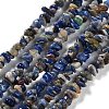 Natural Sodalite Beads Strands G-E607-A11-1