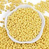 Baking Paint Glass Seed Beads SEED-K010-A26-3
