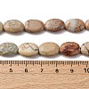 Natural Aqua Terra Jasper Beads Strands G-L624-E03-14x10mm-5
