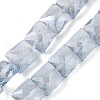 Electroplate Glass Beads Strands EGLA-L045-B-PL04-1