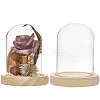 SUNNYCLUE Glass Dome Cover AJEW-SC0001-61A-1
