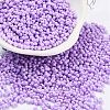 Baking Paint Glass Seed Beads SEED-A033-05J-1