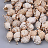 Electroplate Spiral Shell Pendants X-SSHEL-S261-10-1