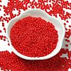 Baking Paint Glass Seed Beads SEED-P006-03A-10-2