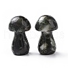 Mother's Day Gifts Natural Snowflake Obsidian GuaSha Stone G-A205-25M-2