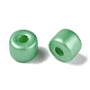 Baking Paint Pearlized Glass Seed Beads SEED-T008-03R-4