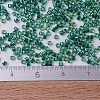 MIYUKI Delica Beads X-SEED-J020-DB0919-4
