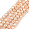 Natural Cultured Freshwater Pearl Beads Strands PEAR-I007-07Z-05B-2