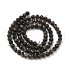 Natural Silver Sheen Obsidian Beads Strands G-E608-A02-C-2