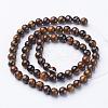Natural Tiger Eye Beads Strands GSR6MMC014-B-3
