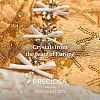 Preciosa® Crystal Hotfix Flatback Stones Y-PRC-HSS16-50730-4