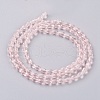 Faceted Glass Beads Strands GLAA-A036-F07-2
