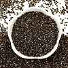 Electroplate Glass Seed Beads SEED-H003-10I-3