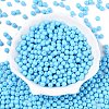 Opaque Baking Painted Glass Beads DGLA-T004-02Q-1