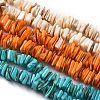 Natural Freshwater Shell Beads Strands SHEL-C001-10-1