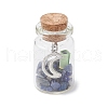 6Pcs Glass Wish Bottle Display Decoration PALLOY-JF03791-4