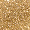 MIYUKI Delica Beads Small X-SEED-J020-DBS0100-3