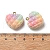 Rainbow Color Opaque Resin Pendants RESI-F035-01-6