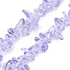 Transparent Glass Beads Strands GLAA-Z009-01G-1