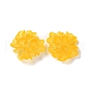 Transparent Resin Cabochons RESI-G027-01C-2