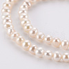 Natural Cultured Freshwater Pearl Beads Strands PEAR-R063-07A-4
