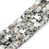 Natural Sesame Jasper/Kiwi Jasper Beads Strands G-T139-6x6-01A-2