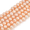 Natural Cultured Freshwater Pearl Beads Strands PEAR-I007-07X-09B-2