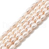 Natural Cultured Freshwater Pearl Beads Strands PEAR-I007-01L-01B-2