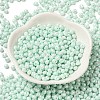 6/0 Glass Seed Beads SEED-M012-01A-07-2