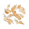 FINGERINSPIRE 16Pcs Rough Raw Natural Citrine Pendants G-FG0001-08-1