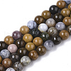 Natural Ocean Jasper Beads Strands G-S150-56-6mm-1