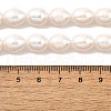 Natural Cultured Freshwater Pearl Beads Strands PEAR-I007-01E-02A-5