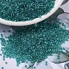 MIYUKI Delica Beads SEED-J020-DB2380-1