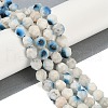 Natural Blue Ice Glacierite Stone Beads Strands G-B092-A01-03-2