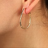 Elegant Geometric Oval Stainless Steel Hoop Earrings XV3579-1