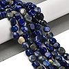 Natural Lapis Lazuli Beads Strands G-P497-01E-03A-2