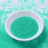 MIYUKI Delica Beads SEED-J020-DB1304-2