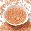 Transparent Glass Round Seed Beads SEED-B001-05A-31-2