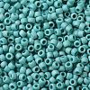 TOHO Round Seed Beads SEED-XTR08-0413F-1