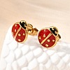 Ladybug 304 Stainless Steel Stud Earrings for Women EJEW-K243-15G-1