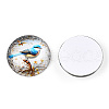 Glass Cabochons GGLA-T004-09F-1